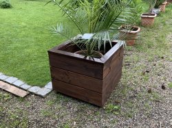 1FD36C9B-24F7-4DFC-BF29-6B360F06439B.jpeg 1FD36C9B-24F7-4DFC-BF29-6B360F06439B.jpeg