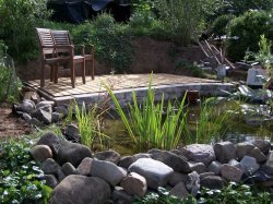 Kopie von100_8534.JPG