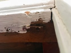 A2D979D9-D349-49BB-B3E3-0E896AF6B521.jpeg A2D979D9-D349-49BB-B3E3-0E896AF6B521.jpeg