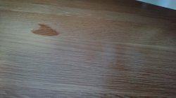 holzschaden.JPG