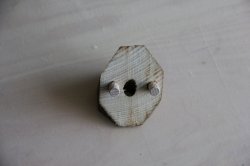 IMG_8703.JPG