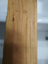 2019-08-20 19.52.50.jpg