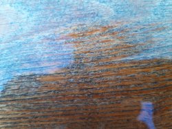 Robinie_Punkte_3 Jahre.jpg