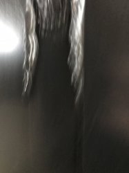 522E6592-8104-44F9-B2C4-133B2B4BF7A0.jpeg