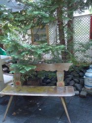 DSC09277.JPG