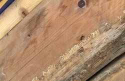 WhatsApp Image 2020-02-12 at 15.27.41.jpeg