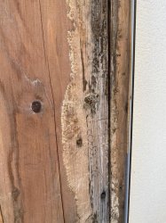 WhatsApp Image 2020-02-12 at 15.27.40.jpeg