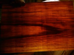 DSCN2263.JPG