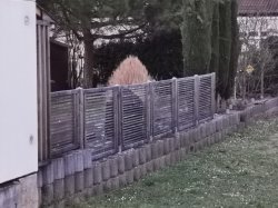 IMG_20200301_181722.jpg IMG_20200301_181722.jpg