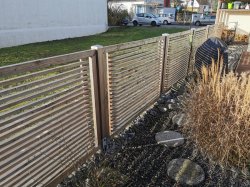 IMG_20200302_090151.jpg IMG_20200302_090151.jpg