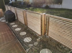 IMG_20200302_090129.jpg IMG_20200302_090129.jpg