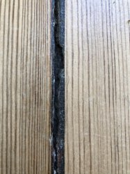 IMG_0918.JPEG IMG_0918.JPEG
