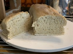 8897843B-C14C-4AB7-82DC-CFAB00508FAE.jpeg 8897843B-C14C-4AB7-82DC-CFAB00508FAE.jpeg