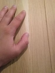 Riss in Leimfuge 2.jpg Riss in Leimfuge 2.jpg