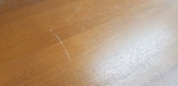 20200511_184006.jpg