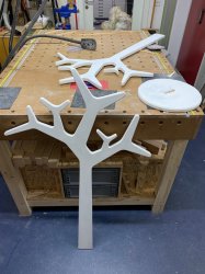 IMG_9576.jpeg IMG_9576.jpeg