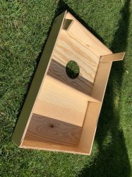 upload_2020-5-19_9-49-50.jpeg upload_2020-5-19_9-49-50.jpeg