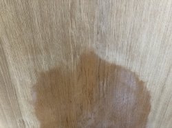 4.JPG
