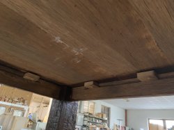 IMG_4375.JPG IMG_4375.JPG