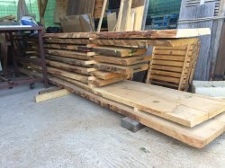 eiche_kastanie.jpg eiche_kastanie.jpg