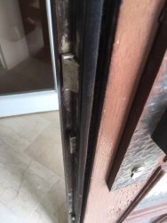 photo_2020-06-28_11-20-40.jpg photo_2020-06-28_11-20-40.jpg