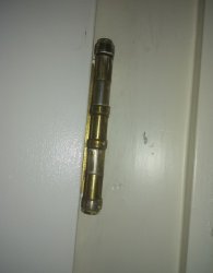 IMG_20200628_134522.jpg