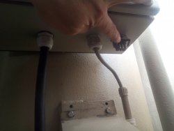 IMG_20200730_173706.jpg