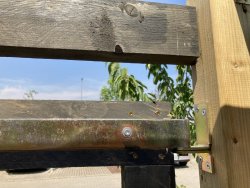 IMG_4360.JPG IMG_4360.JPG