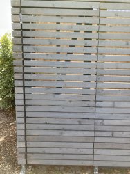 IMG_4391.jpg IMG_4391.jpg