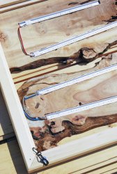 DSC_0051.jpg DSC_0051.jpg