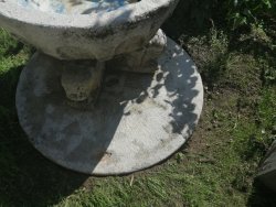 IMG_20200915_124708.jpg