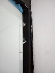 IMG_20200927_162900.jpg