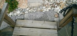 IMG_20200928_161847.jpg