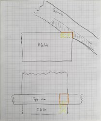 Bild 1.jpg
