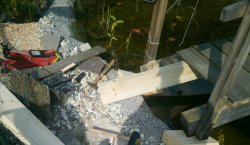 IMG_20201003_130327.jpg
