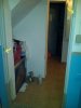 IMG00191-20110222-1909.jpg