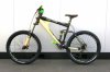 X8 Enduro Holz bike.JPG