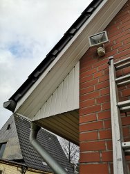 IMG_20201122_091716.jpg IMG_20201122_091716.jpg