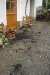 DSC02342.jpg DSC02342.jpg