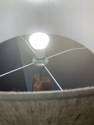 IMG_0474.jpeg IMG_0474.jpeg