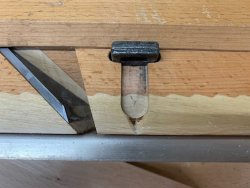 IMG_7392.jpeg IMG_7392.jpeg