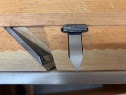 IMG_7393.jpeg IMG_7393.jpeg