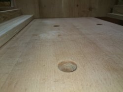 DSC_3181.JPG