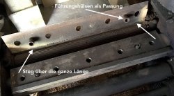 pallas.jpg