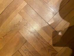 Parkett5.jpg