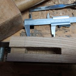 IMG_20210128_082537.jpg IMG_20210128_082537.jpg