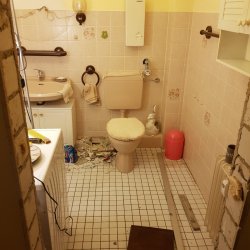 20201104_132045.jpg