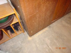 Schrank1 befallen unten.JPG