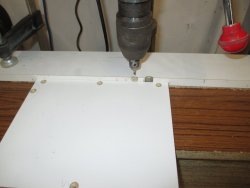 IMG_4330.JPG