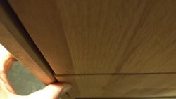 IMG_20210221_103628443.jpg